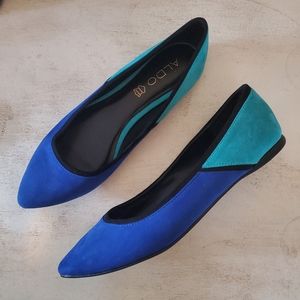 Bold Pointed-toe Ballet Flats